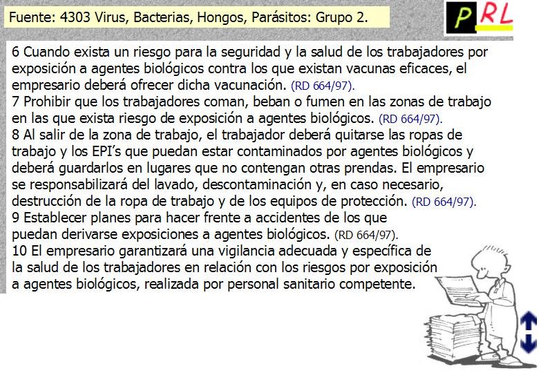147 VIRUS GRUPO 2